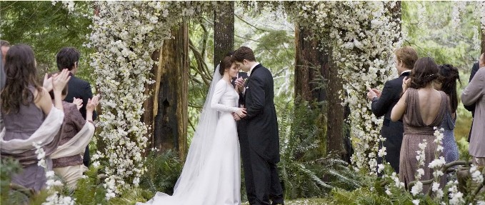 The Twilight Saga: Breaking Dawn Part 1